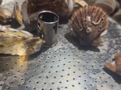 -和源祥·日照菜扛把子(万平口一店)