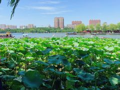 -济南大明湖景区