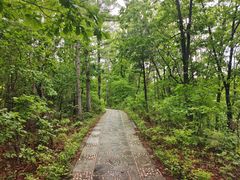 -帽儿山国家森林公园