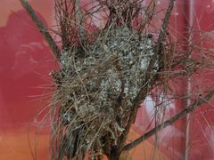 -上海昆虫博物馆