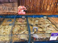 -开海·红岛海鲜虾水饺(石老人店)