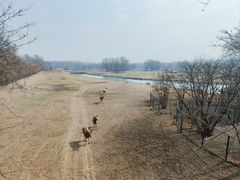 -北京麋鹿生态实验中心