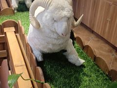 -九府羊鲜羊火锅·烧烤(任丘东风美食街店)