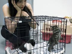 -爱妮康宠物医院·干细胞免疫细胞·肿瘤·心脏(张江店)