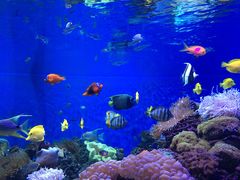 -成都浩海立方海洋公园