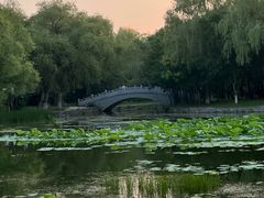 -北陵公园