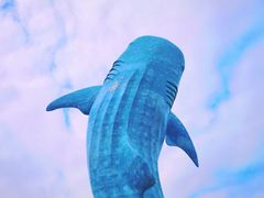 -珠海长隆海洋王国