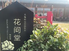 -田园东方蜜桃村的田野营地