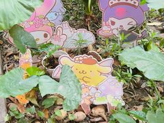 -egggcellent舒芙芮