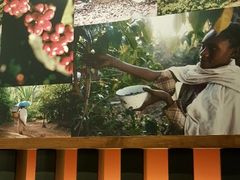 -星巴克(长沙麓南广场店)