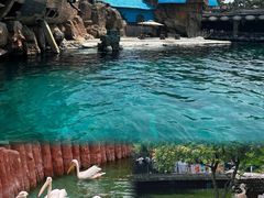 -大连老虎滩海洋公园