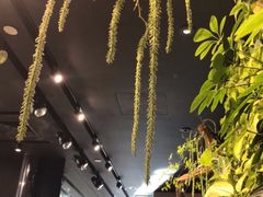 -Seesaw Coffee(环贸iapm店)