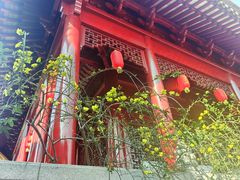 -钦赐仰殿道观
