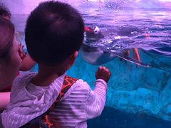 -暹罗海洋世界