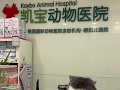-悦宠凯宝动物医院·牙科·皮肤科(朝阳北路店)