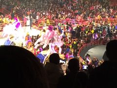 -广州长隆国际大马戏
