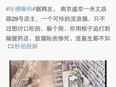 盛京一禾-盛京一禾