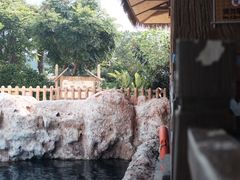 -珠海长隆海洋王国