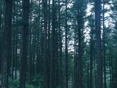 -驼梁风景区