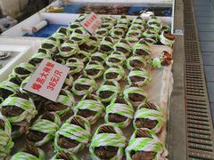 -南沙十九涌渔人码头-南门