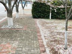 -中国海洋大学（崂山校区）-游泳馆