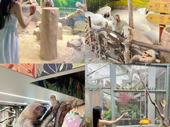 -正佳雨林生态植物园