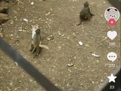 -昆明动物园