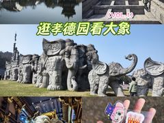 -中华孝德园