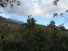 -七仙岭君澜度假酒店
