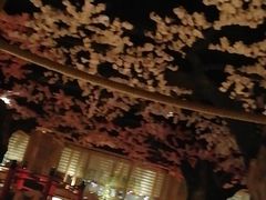 -蓝鲸湾汤泉(包河店)