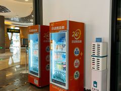 -中国宋庆龄青少年科技文化交流中心