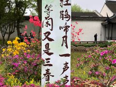 -拙政园