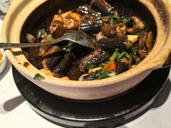 -新兴·金羊座·粤菜点心(乐峰店)