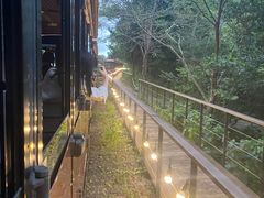 -济州森林小火车生态公园
