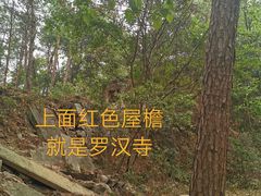 -青龙山国家森林公园