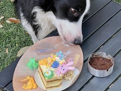 -J Create城市露营咖啡·简餐·宠物(上海动物园店)