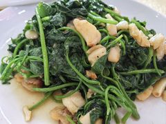 -安记烧鹅(新桥店)