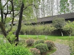 -乌镇景区