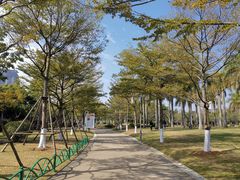 景点-白鹭洲公园