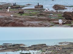 -小麦岛公园
