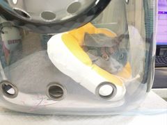 -天宠宠物医院24小时·急重症诊疗中心·全科·腔镜特色(和平分院)