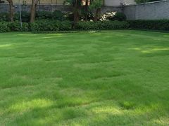 -上海孙中山故居纪念馆