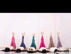 -亚太瑜伽普拉提学院