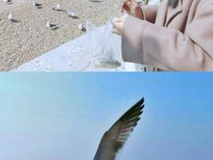 -海驴岛(荣成市)
