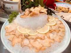 海螺片-金龙·打边炉(南京西路店)