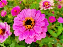 -长兴太湖图影湿地文化园