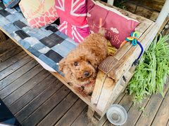 -明月山庄私房菜(环海东路店)