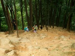 -火炉山森林公园