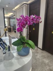 -加减美医美连锁品牌