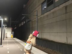 -巴黎迪士尼乐园
